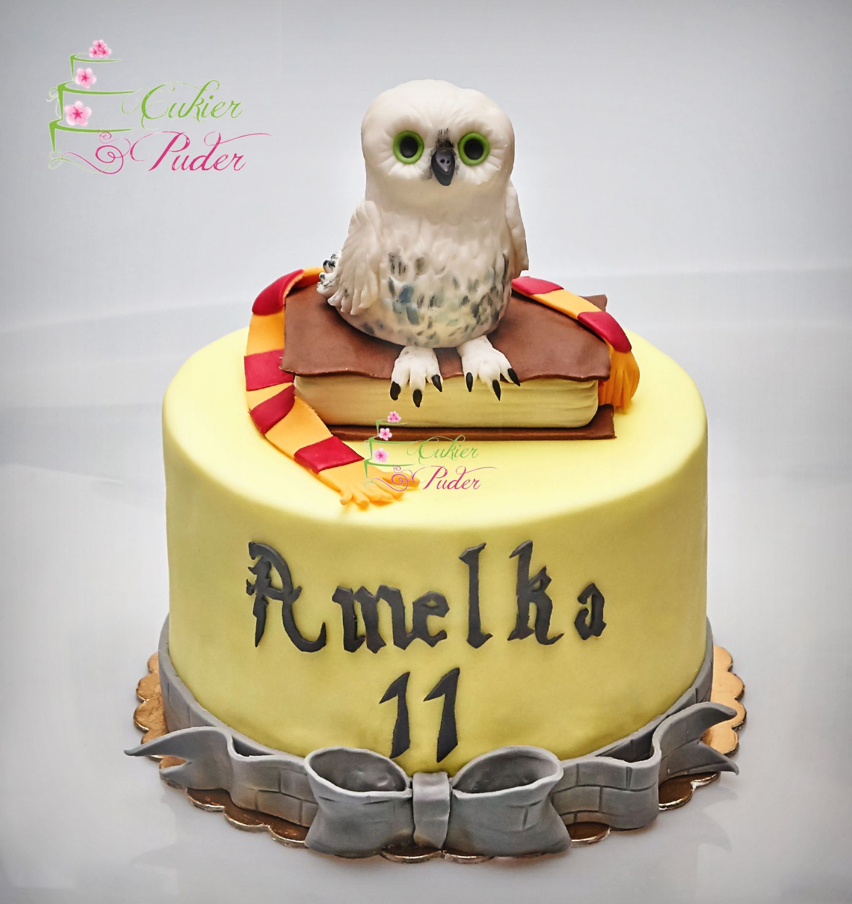 tort urodzinowy - urodziny dziecka - minsk mazowiecki - figurka sowy - figurka ksiazka - harry potter - hogwart - tort dla dziewczynki - tort dla chlopca