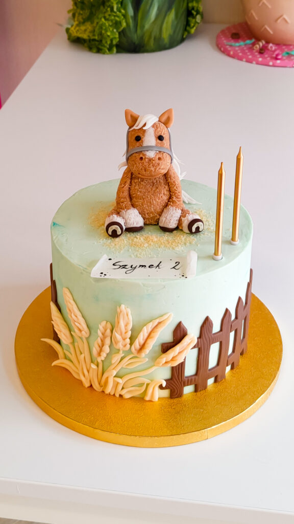 tort urodzinowy - urodziny dziecka - minsk mazowiecki - dla chłopca - konik - zwierzątka